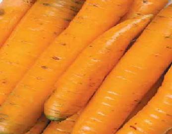 Метро, Морковь      