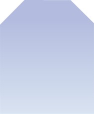 Касторама, Зеркало (50x60 см)