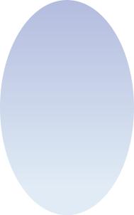 Максидом, Зеркало (50x80 см)